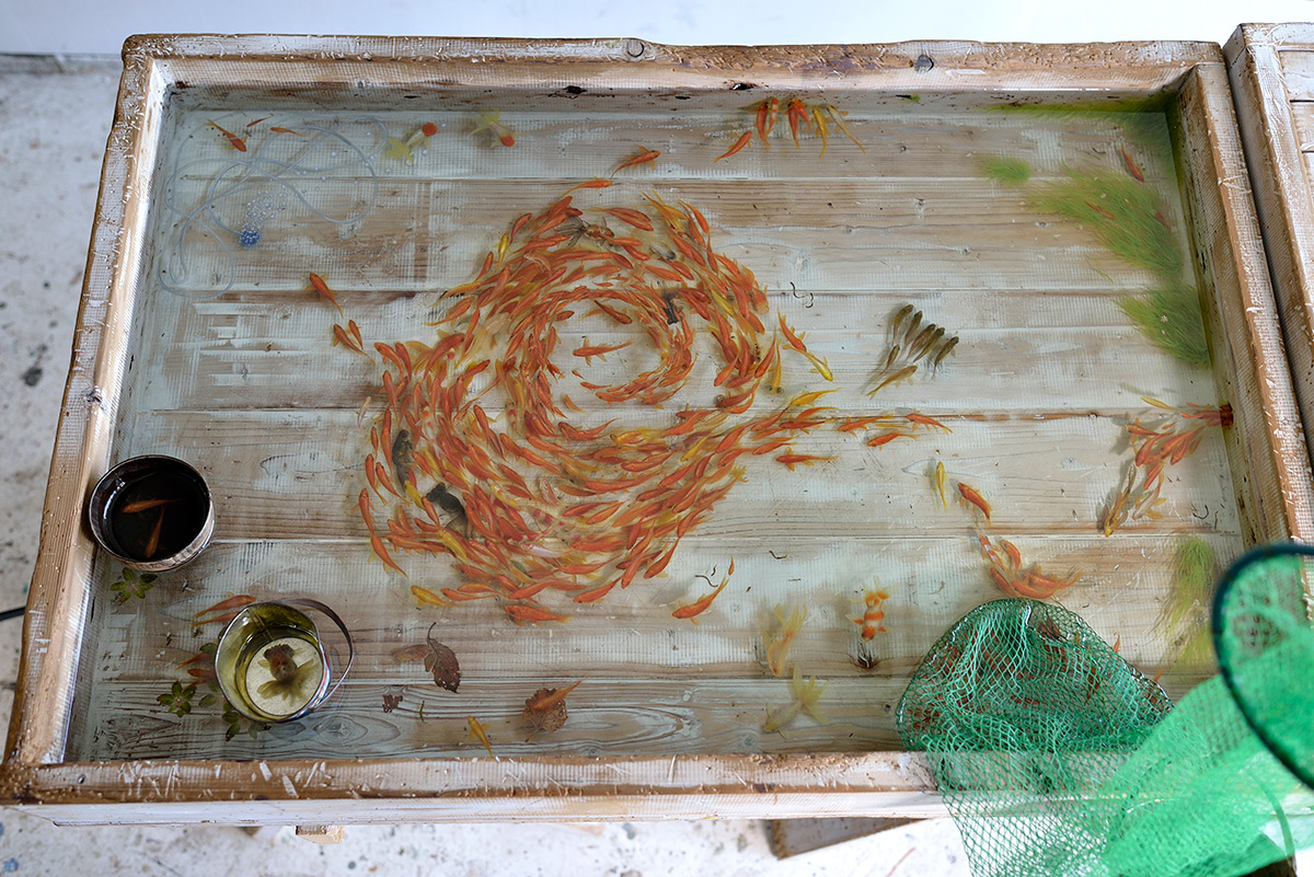 goldfish-by-riusukefukahori
