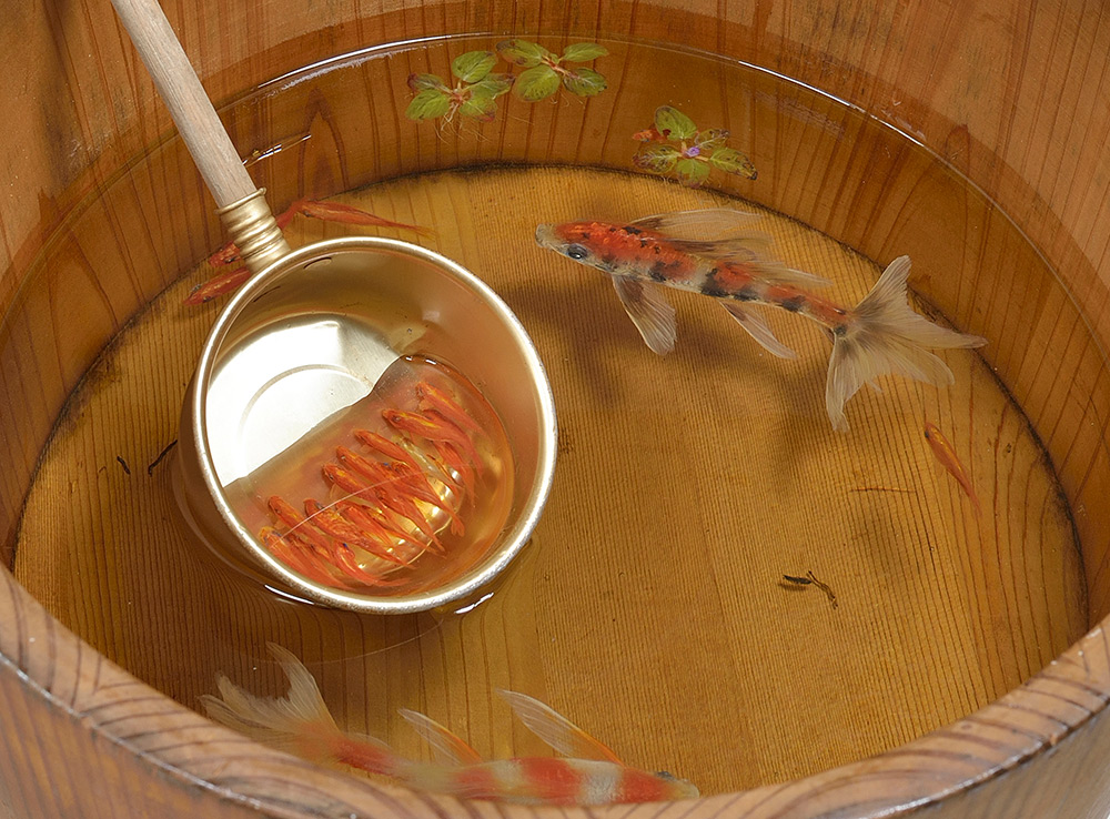 goldfish-by-riusukefukahori10