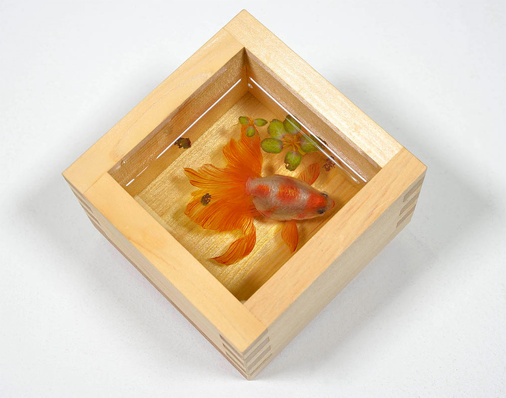 goldfish-by-riusukefukahori8