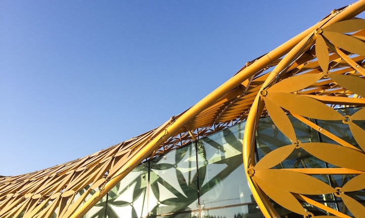 butterflypavilion9