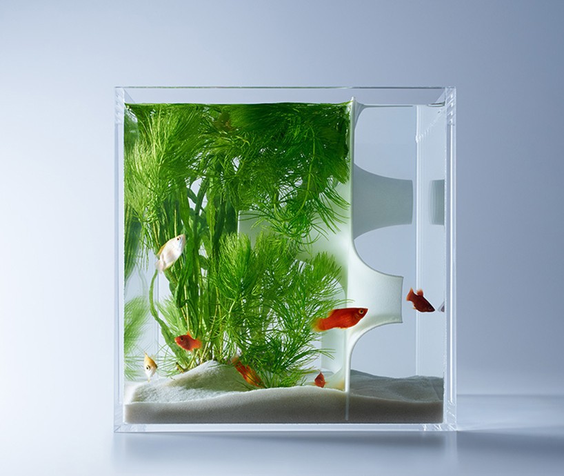 haruka-misawa-aquarium2