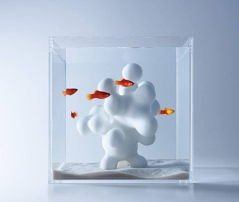 haruka-misawa-aquariums1