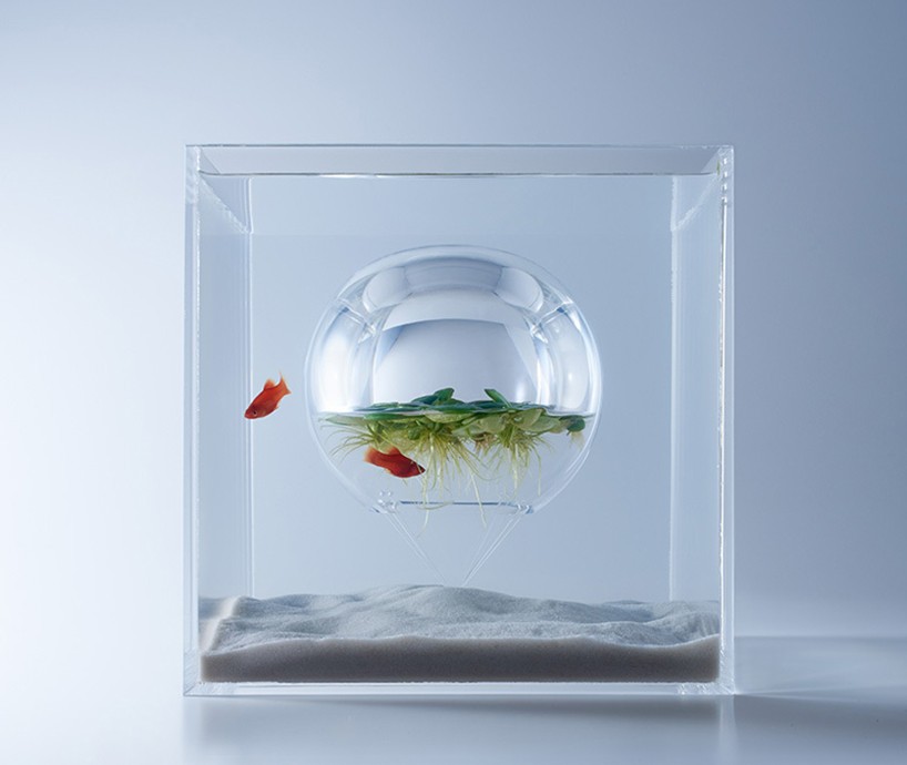 haruka-misawa-aquariums4
